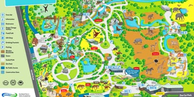 Harta e Auckland në kopshtin zoologjik